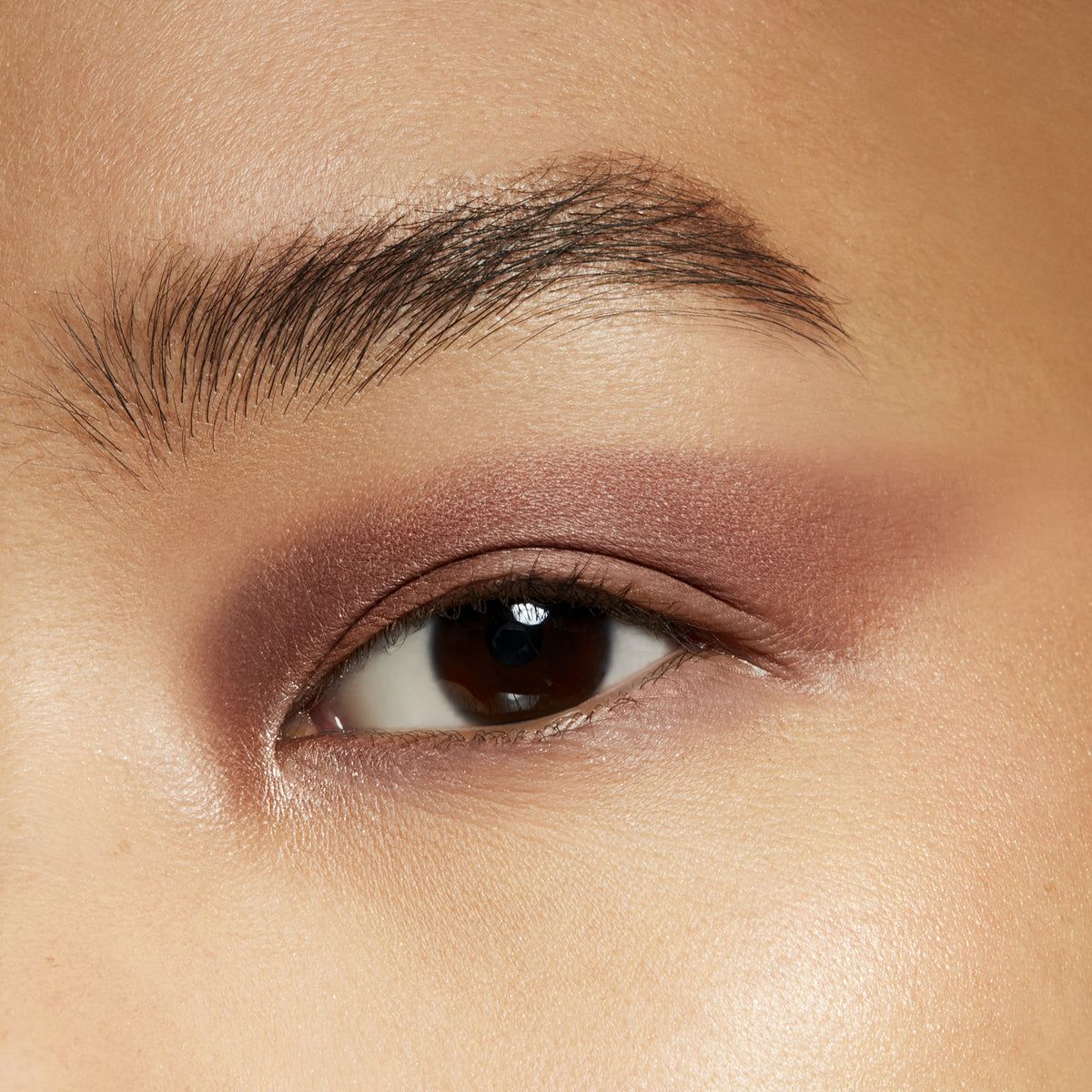Eyeshadow, 1.5 g, Haux, Model, medium