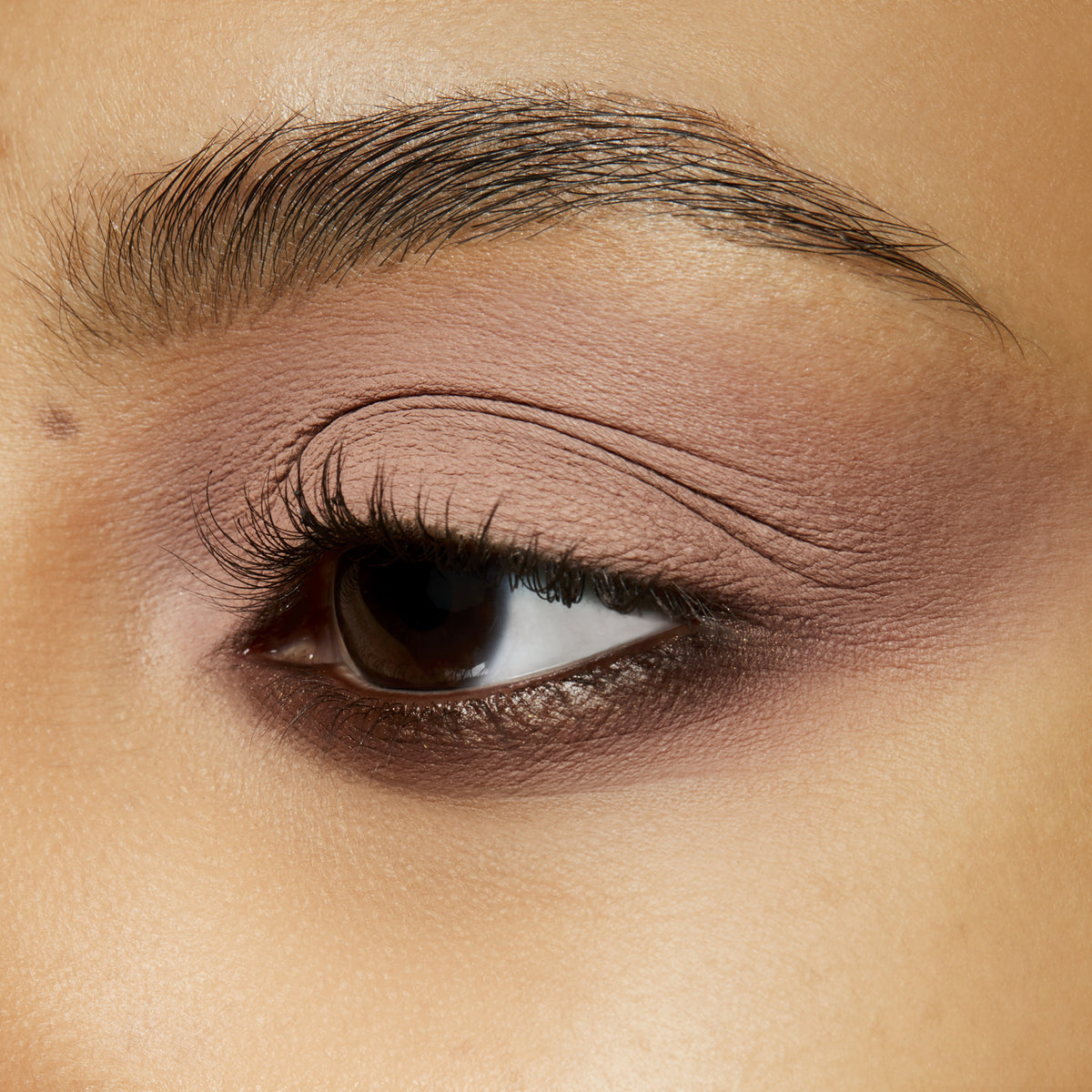 Eyeshadow, 1.5 g, Malt, Model, medium