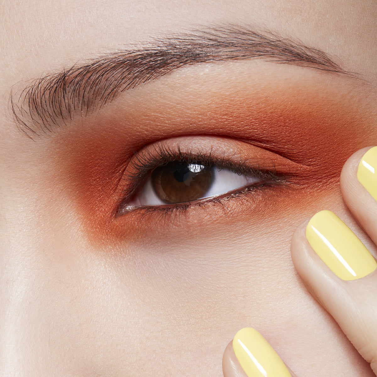 Eyeshadow, 1.5 g, Rule, Model, light