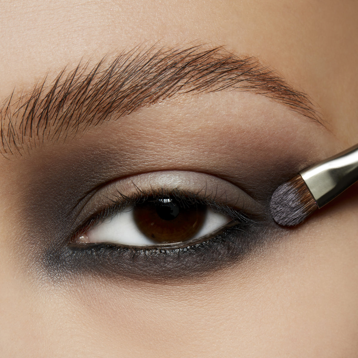 Eyeshadow, 1.5 g, Scene, Model, light