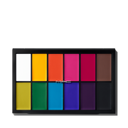 Pro Palette Paintstick x12, 30.0 g, Product Shot