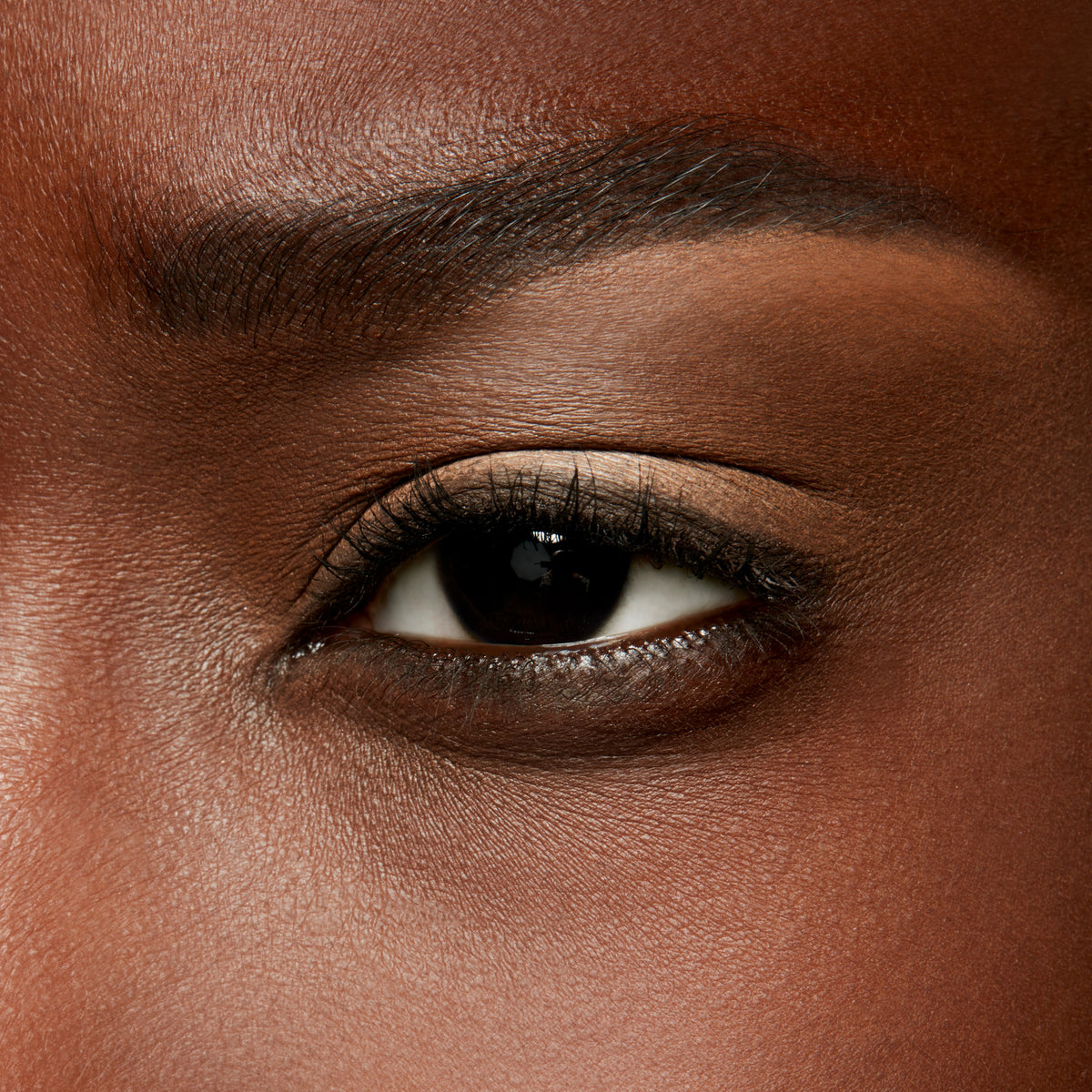Eyeshadow, 1.5 g, Brulé, Model, deep