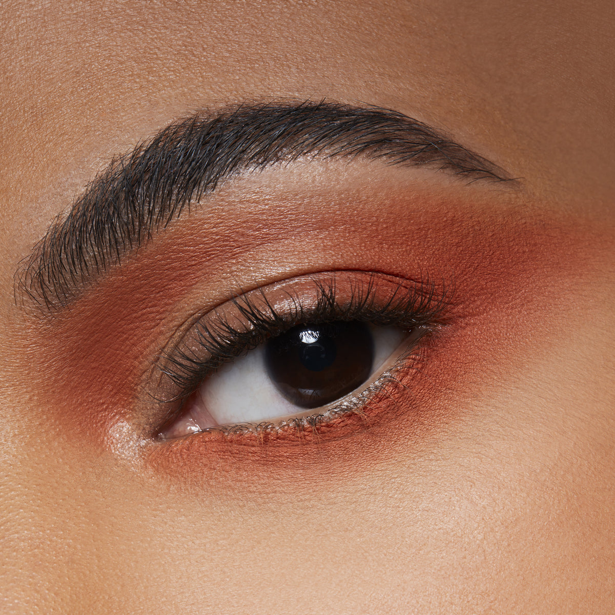Eyeshadow, 1.5 g, Rule, Model, medium
