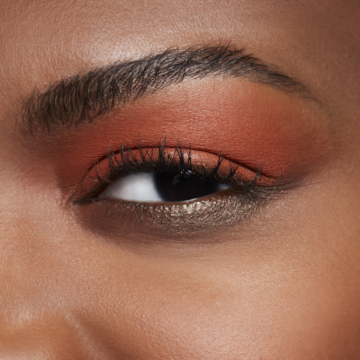 Eyeshadow, 1.5 g, Rule, Model, deep