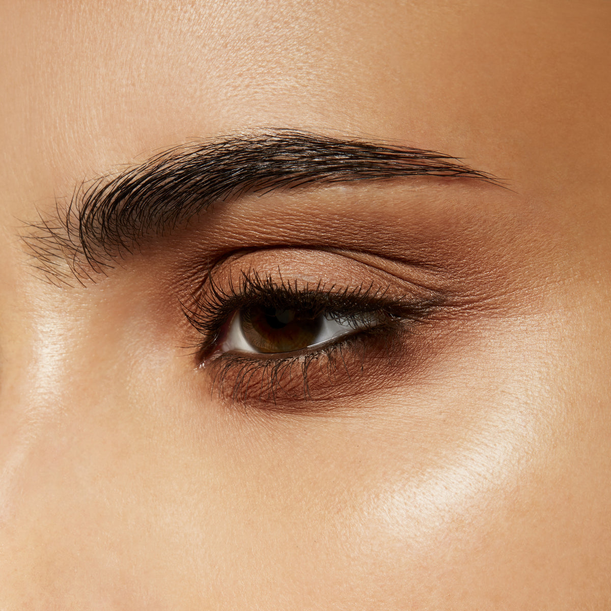 Eyeshadow, 1.5 g, Wedge, Model, medium
