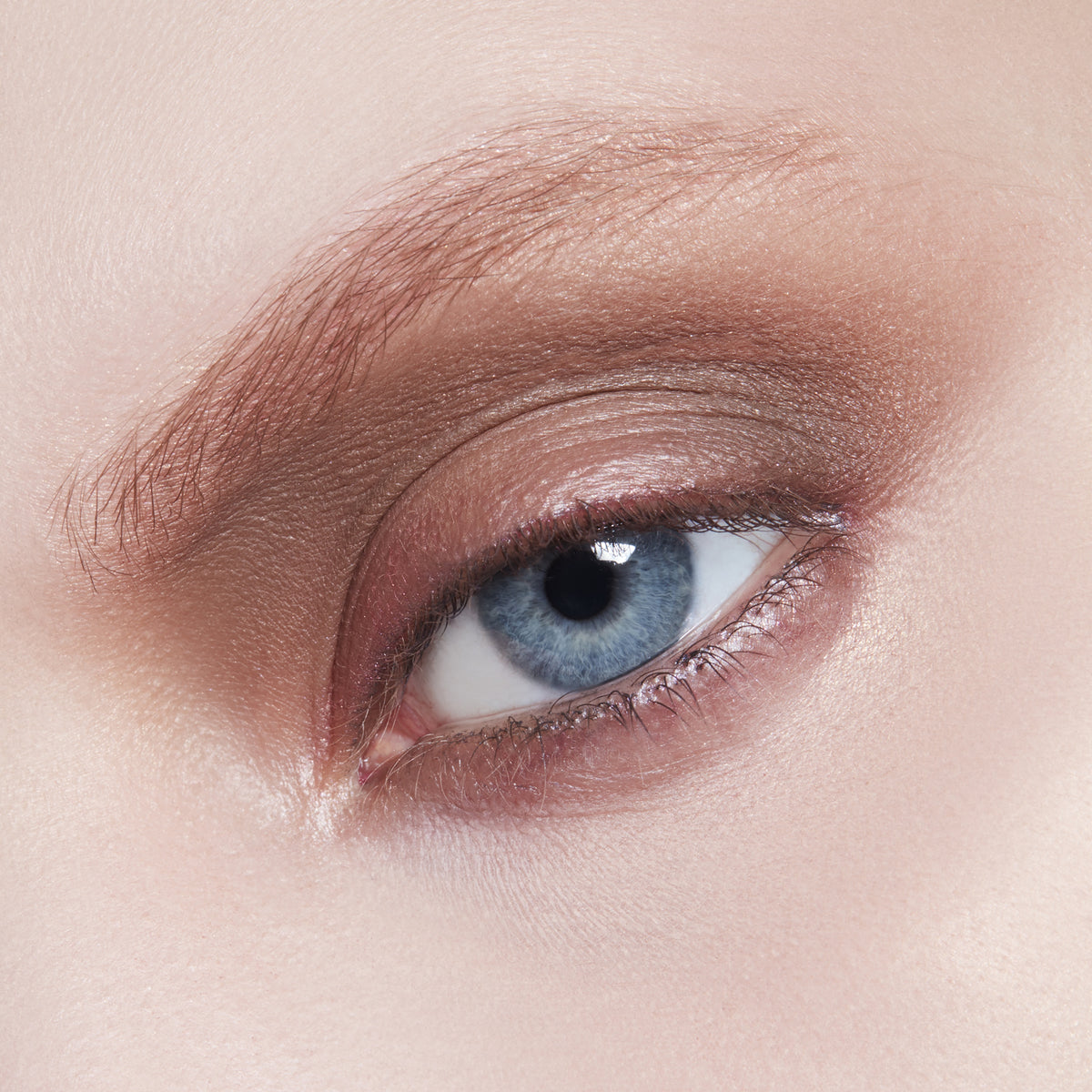 Eyeshadow, 1.5 g, Charcoal Brown, Model, light