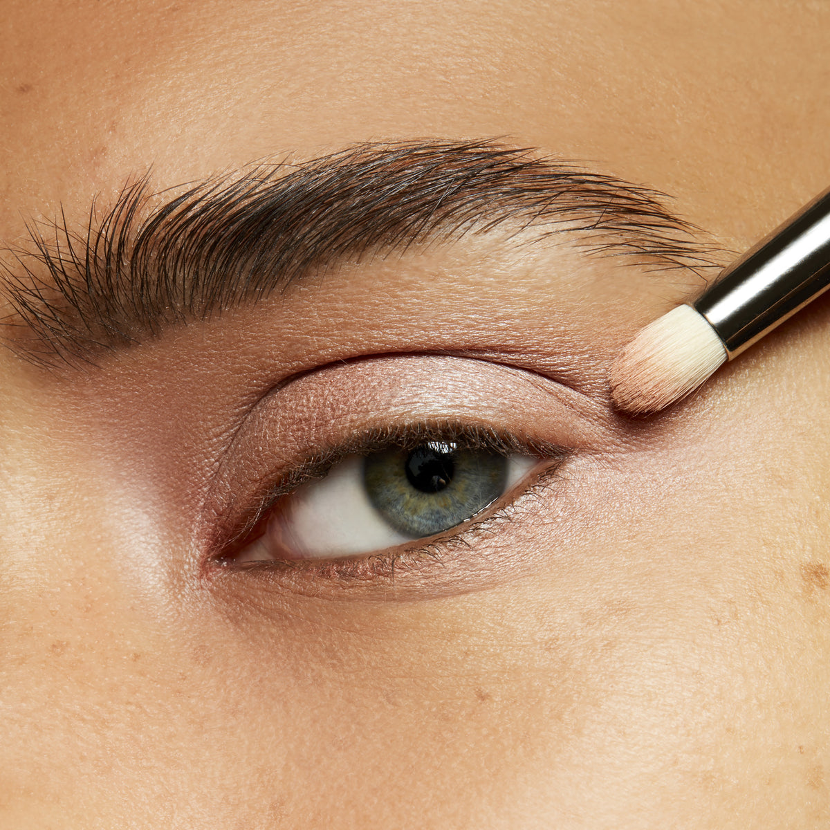 Eyeshadow, 1.5 g, Grain, Model, medium