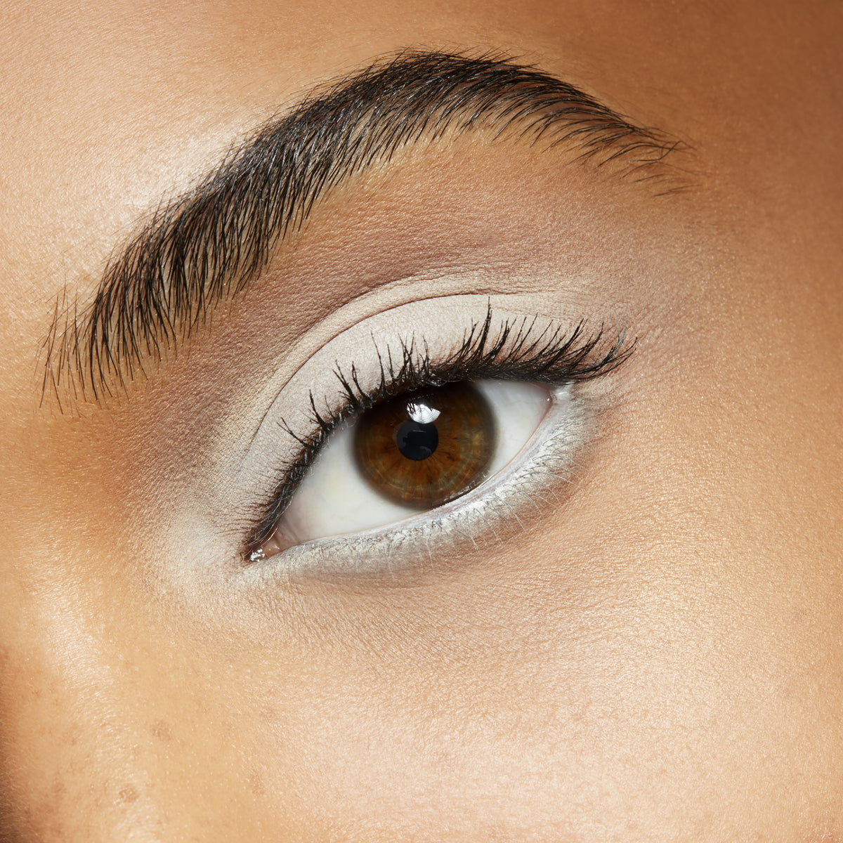 Eyeshadow, 1.5 g, Gesso, Model, medium