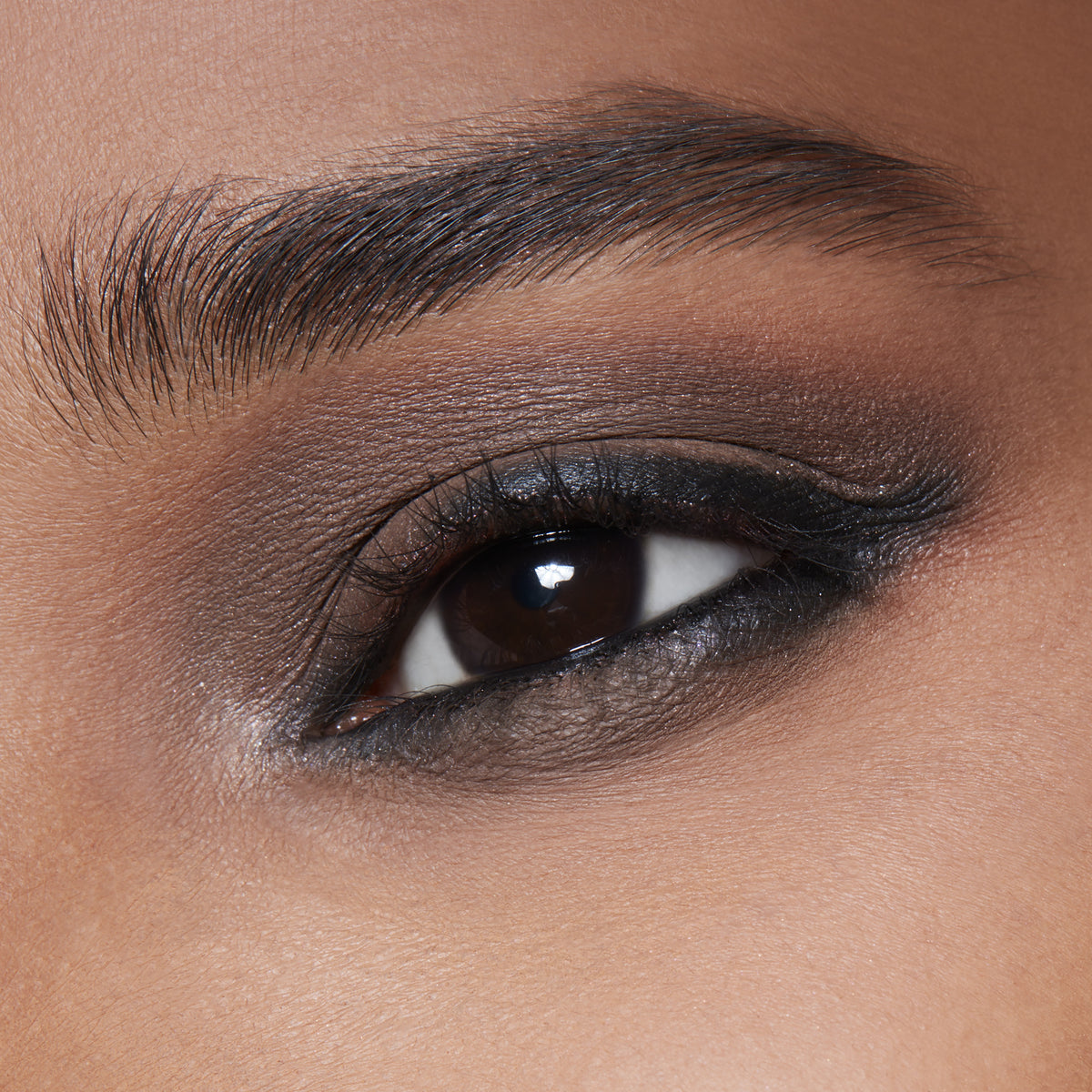 Eyeshadow / Pro Palette Refill Pan, 1.5 g, Charcoal Brown, Model, deep