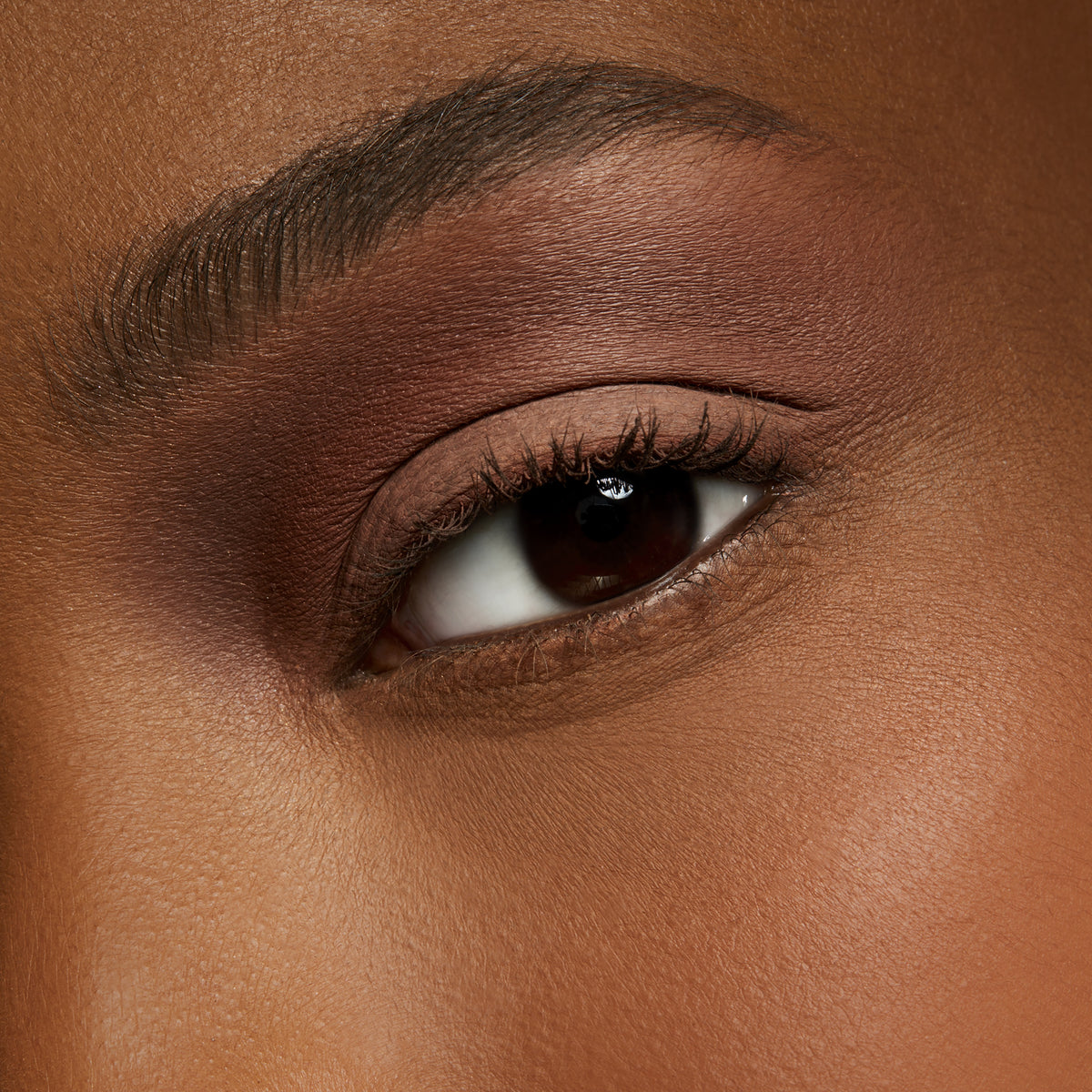 Eyeshadow / Pro Palette Refill Pan, 1.5 g, Soft Brown, Model, deep