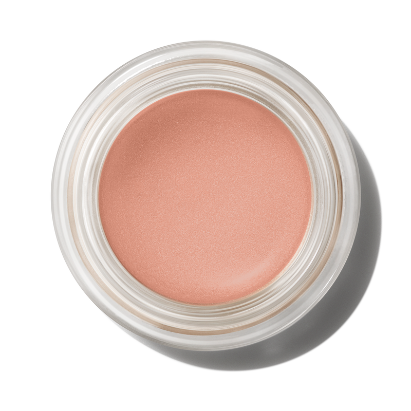 Pro Longwear Paint Pot - Layin’ Low