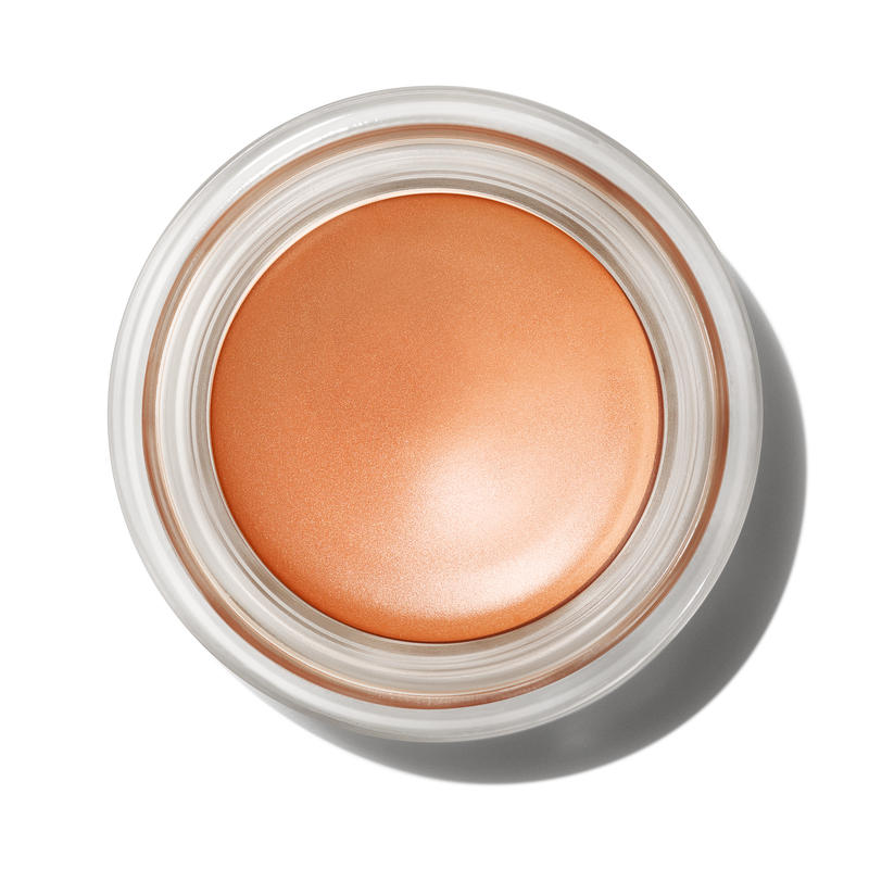 Pro Longwear Paint Pot - Contemplative State