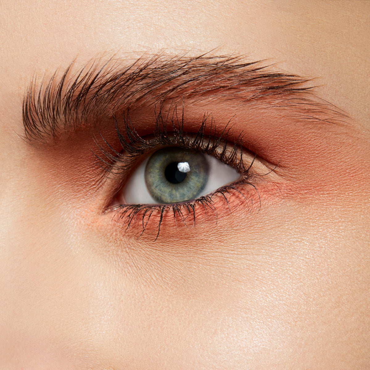 Powder Kiss Soft Matte Eyeshadow, 1.5 g, Strike A Pose, Model, light