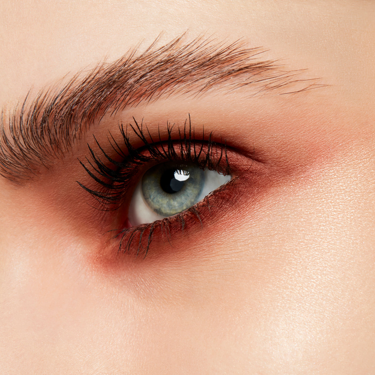 Powder Kiss Soft Matte Eyeshadow, 1.5 g, Devoted To Chili, Model, light